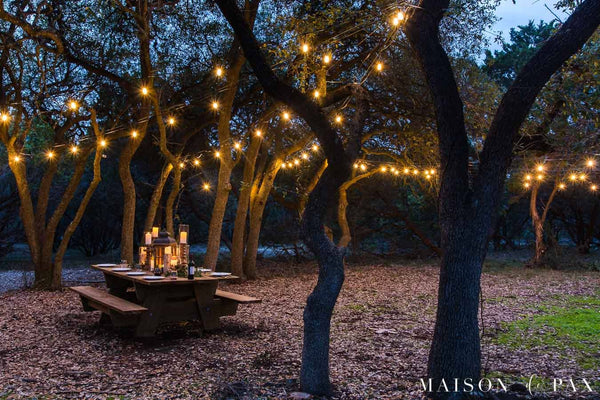 How to Hang Outdoor String Lights from Trees
