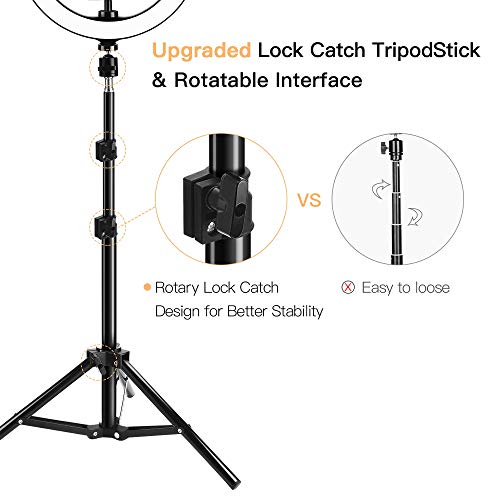 12” Ring Light with Tripod & Phone Holder Compatible for iPad JACKYLED