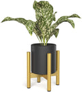 ULG 8 inch Plant Stand, Mid Century Wood Flower Planter Holder Stand (Plant Pot Not Included)