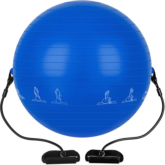 PACEARTH Exercise Ball 65cm Thick Yoga Ball Chair,Anti-Slip Stability Ball